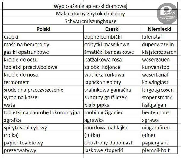 Język czeski i niemiecki dla początkujących