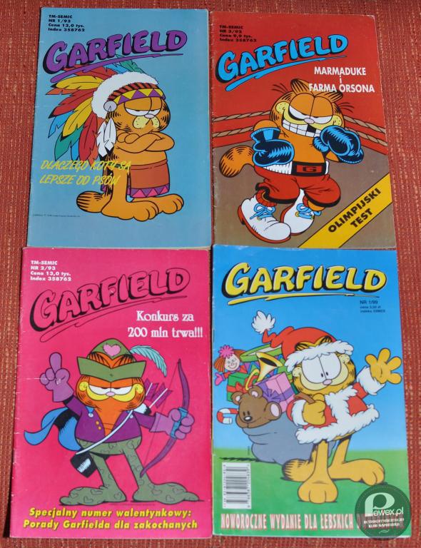 Garfield z początku lat 90.