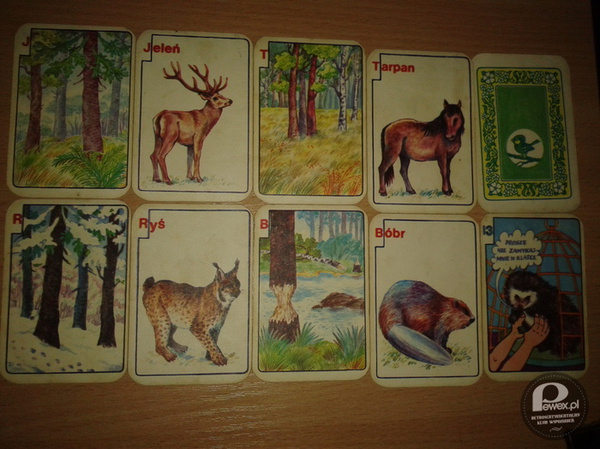 Karty do gry "Zwierzęta leśne"