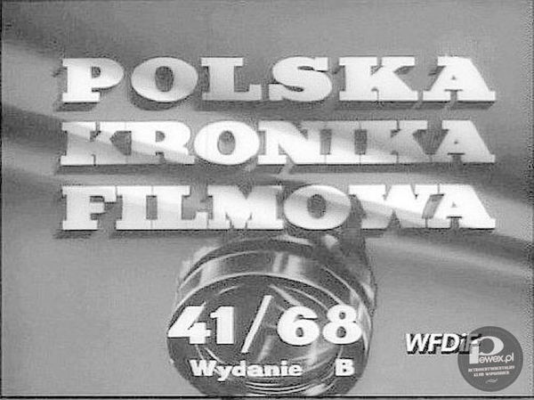 Polska Kronika Filmowa