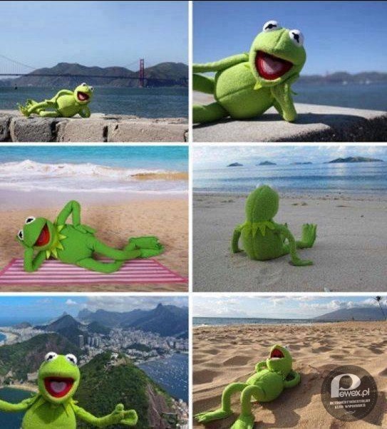 Kermit i jego wakacyjne focie