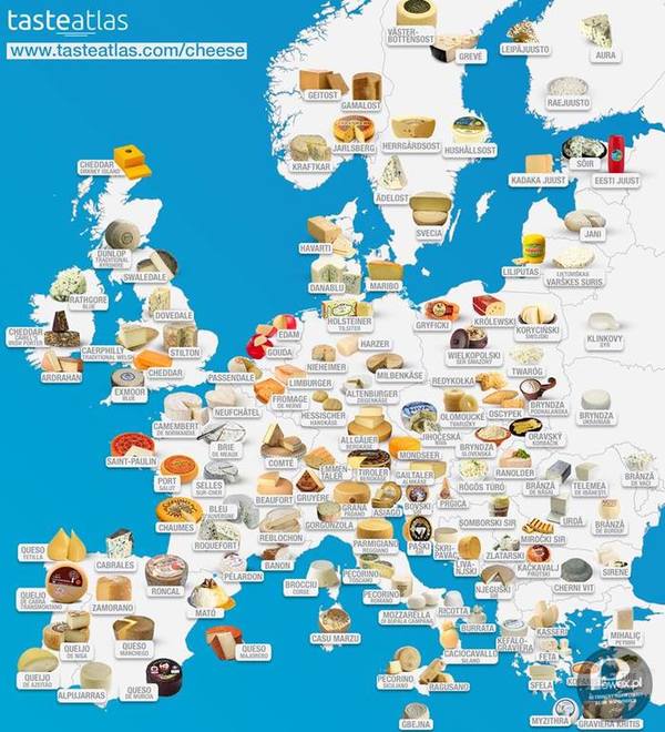 Najlepsze europejskie sery! A co z Polską?!
